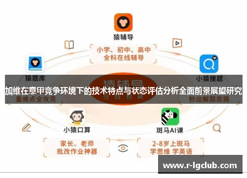 加维在意甲竞争环境下的技术特点与状态评估分析全面前景展望研究